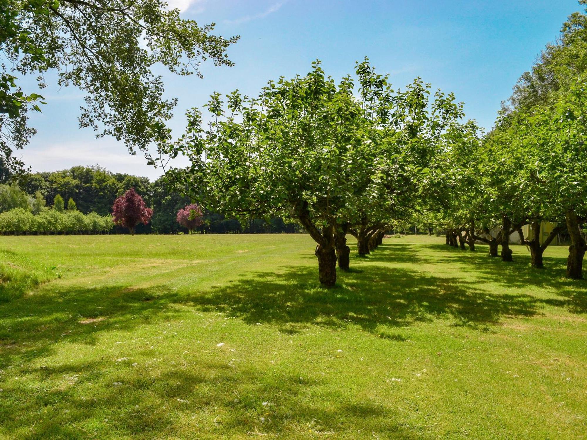 Deer Cottage 2 Uk39332 Biddenden Экстерьер фото