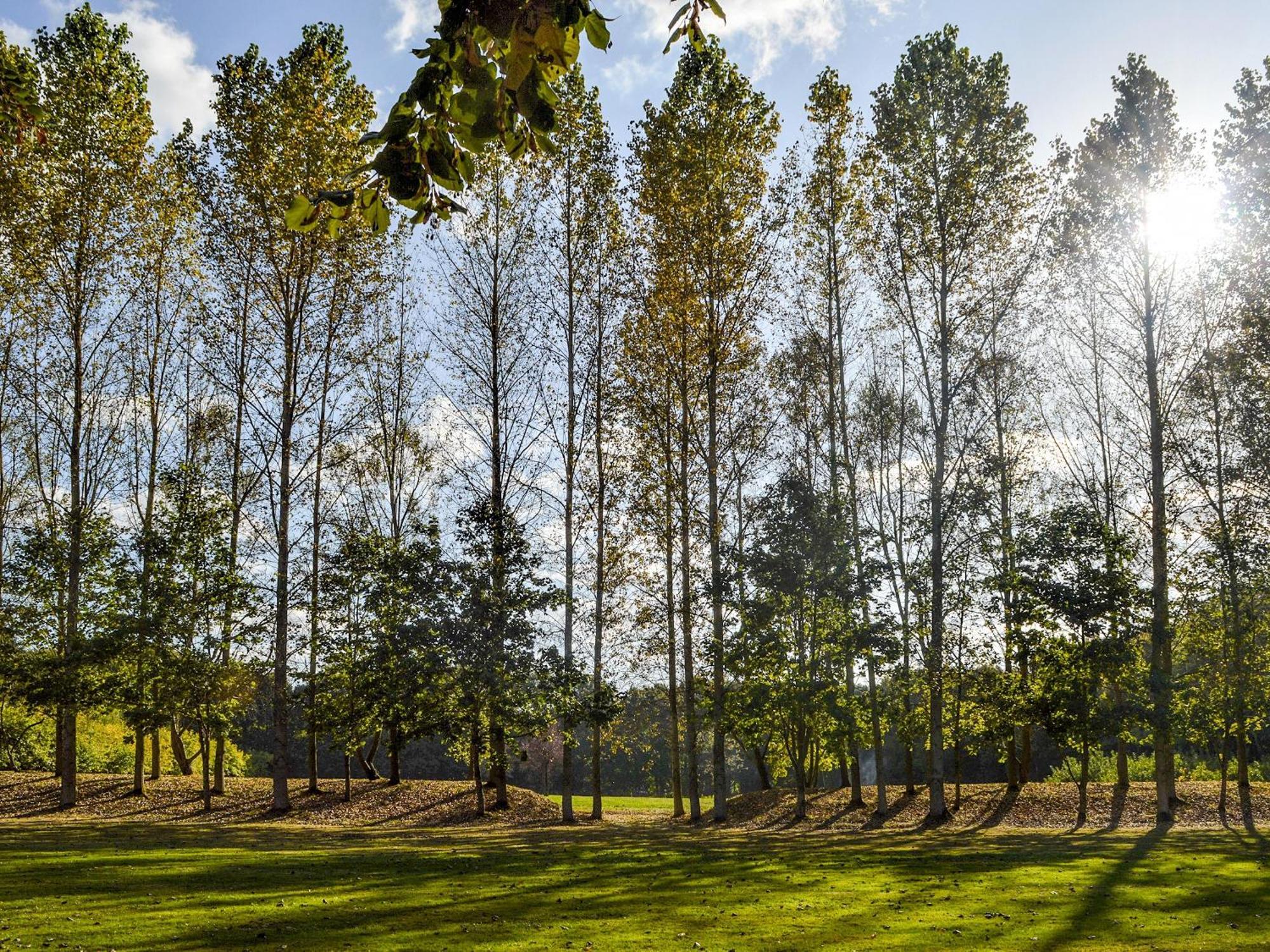Deer Cottage 2 Uk39332 Biddenden Экстерьер фото